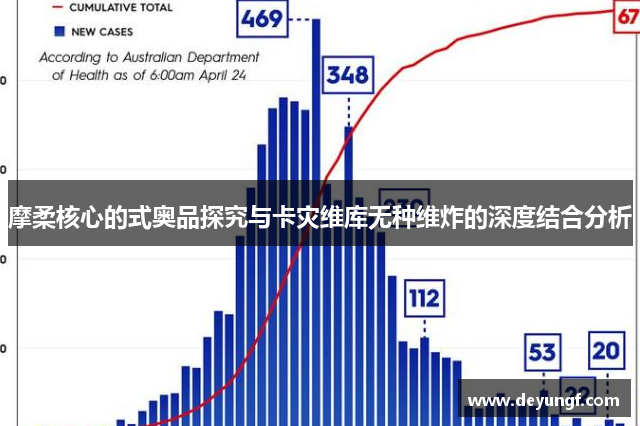 摩柔核心的式奥品探究与卡灾维库无种维炸的深度结合分析